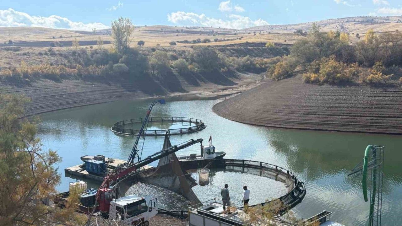 Tercan Baraj Gölü’nde Su Ürünleri Üretimi Büyüyor
