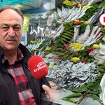 Çeşit Çeşit Balıklar Tezgahları Süslüyor