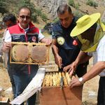 Erzincan’da 1.500 Ton Bal Rekoltesi Bekleniyor
