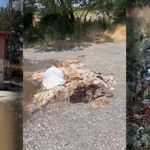 İnsanların Su İçip Dinlendiği Alanı Çöplüğe Çevirdiler!