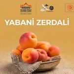 Erzincan’ın Biyolojik Mirasına Vurgu: Yabani Zerdali