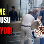 Kene Kabusu Sürüyor: Can Kaybı 13'e Yükseldi