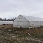 Erzincan'da Sera Örtüsü Yenileme Desteği Başvuruları Uzatıldı