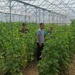 Erzincan’da Geleceğin Tarım Uzmanları Yetişiyor