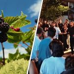 Çilek, Böğürtlen, Türkü ve Halay! Tatlısu'da Festival Coşkusu