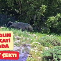 ERZİNCAN