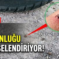 ERZİNCAN