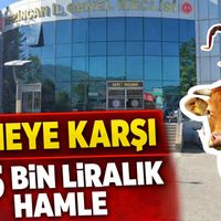 ERZİNCAN