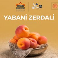 ERZİNCAN