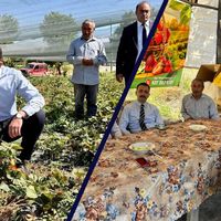 ERZİNCAN
