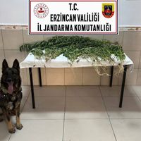 ERZİNCAN