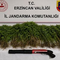 ERZİNCAN