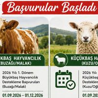 ERZİNCAN