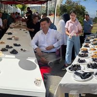 EĞİTİM