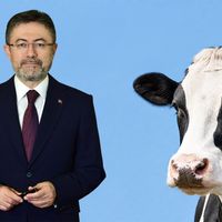 ERZİNCAN