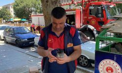 Karga Saldırısından İtfaiye Ekipleri Kurtardı