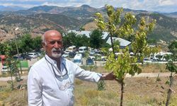 Vatandaşların ziyaret ettiği Düzgün Baba’ya bin 500 ağaç diktirdi