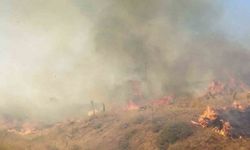 Bingöl’deki orman yangın söndürüldü