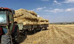 Erzincan’da çiftçilerin saman mesaisi başladı