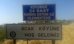 Kemaliye’nin Ocak köyünde yok yok