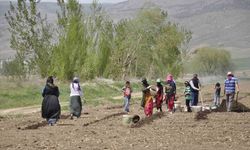 Mevsimlik tarım işçileri tarlalarda rızıklarını çıkarıyor