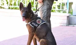 Narkotiğin ’Odin’i Uyuşturucu Tacirlerine Göz Açtırmıyor