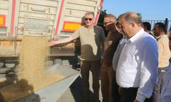 TMO Genel Müdürü Güldal, Erzincan'da