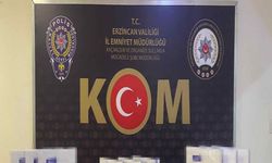 Erzincan’da Kaçak Büyüme Hormonu Ve Botoks İğnesi Ele Geçildi