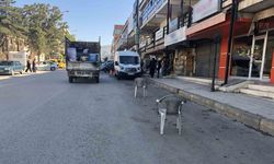 Esnafın duba ve sandalyeli yol kapatmasına tepki