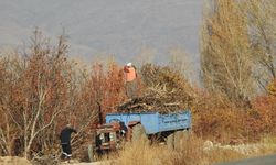 Köylerde kışlık  yakacak telaşı başladı