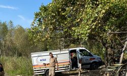 Kayıp yaşlı kadını jandarma ve AFAD ekipleri buldu