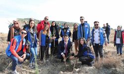 Erzincan’da  "100. Yıl Cumhuriyet Ormanı" Oluşturuldu
