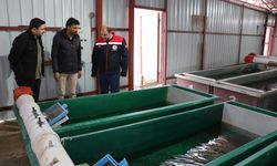 Uluköy’de Alabalık Kuluçkahane Tesisi Modern Üretim Teknikleri Kullanıyor