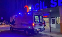 Tercan’da trafik kazası: 7 yaralı