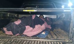 Ağrı’da 7 Afganistan uyruklu kaçak göçmen yakalandı