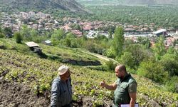 Tarım Sahalarını Adım Adım Dolaşıyorlar