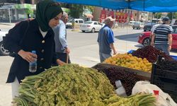 Sezonun Son Işkınları Tezgâhlarda Yerini Aldı