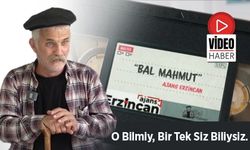 Bal Mahmut; O Bilmiy, Bir Tek Siz Biliysiz