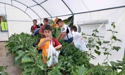 Okuldaki Çiftlik Projesinde Hasat Başladı