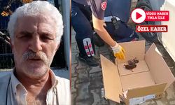 Anne Kedi Doğum İçin “Bal Mahmut”un Otomobilini Seçti