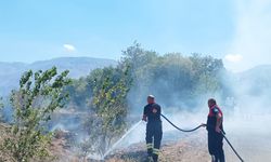 Anız Yakmayın Diye Dilimizde Tüy Bitti