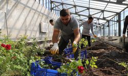 Park Bahçe Müdürlüğünden Sonbahar Çalışmaları