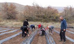 Erzincan Çileğin Merkezi Olma Yolunda