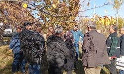 Erzincan'da Ağaç Severlere Özel Budama Eğitimleri