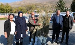 Erzincan'da Goji Berry “Kurt Üzümü” Yetiştiriciliği Başladı