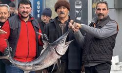 Karadeniz’den Erzincan’a Gelen Kılıçbalığıyla Poz Verdiler