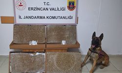 Erzincan İL Jandarma Ocak Ayında Olayların Yüzde 99'unu Aydınlattı