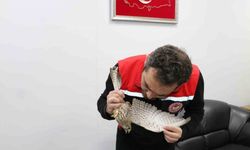 Erzincan’da Ekipler, "Kerkenez" İçin Seferber Oldu