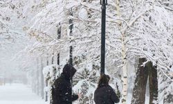 Meteorolojiden Erzincan İçin Yoğun Kar Yağışı Uyarısı