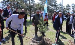 Üzümlü’de Fidanlar Toprakla Buluştu